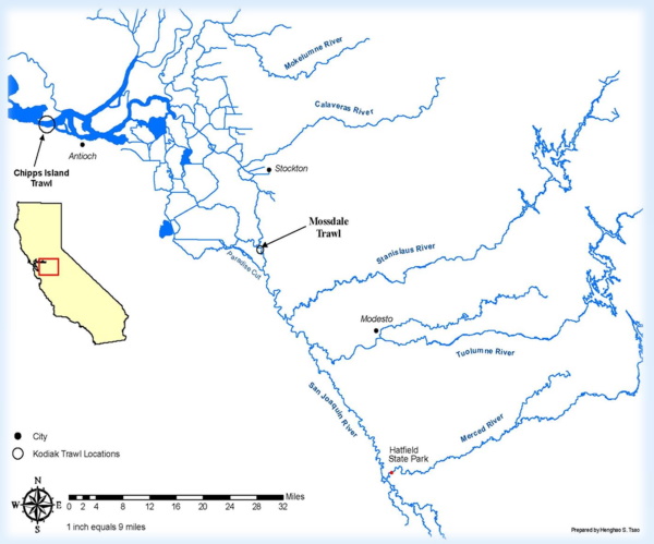 Mossdale Trawl Map